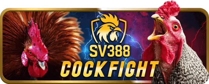 Rút tiền nhanh hơn và hạn mức cao hơn Xibet VIP